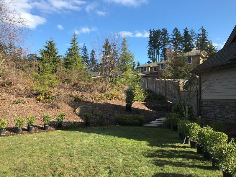 Landscaping Services Image 16